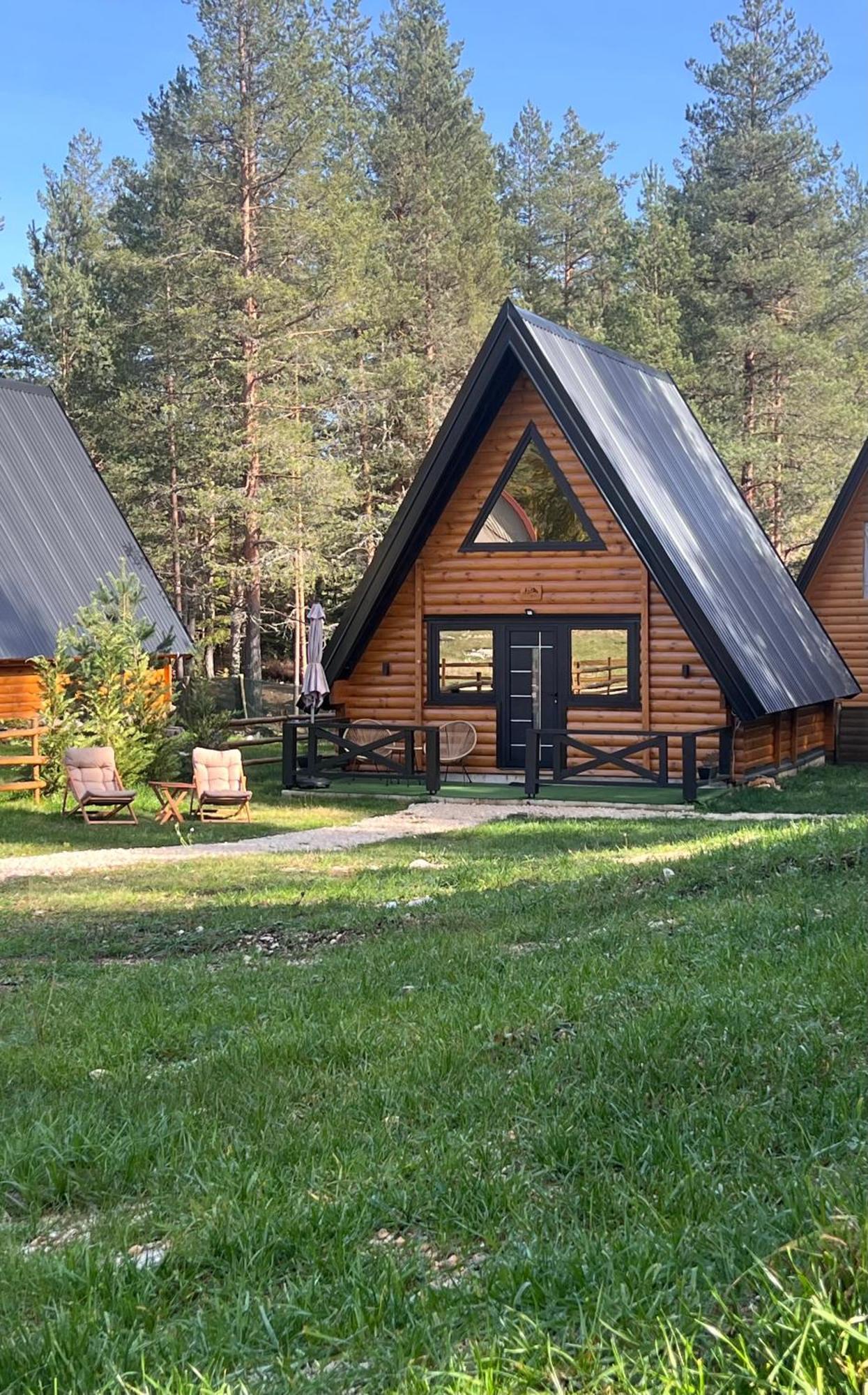 Pine Forest-Black Zabljak  Exterior photo