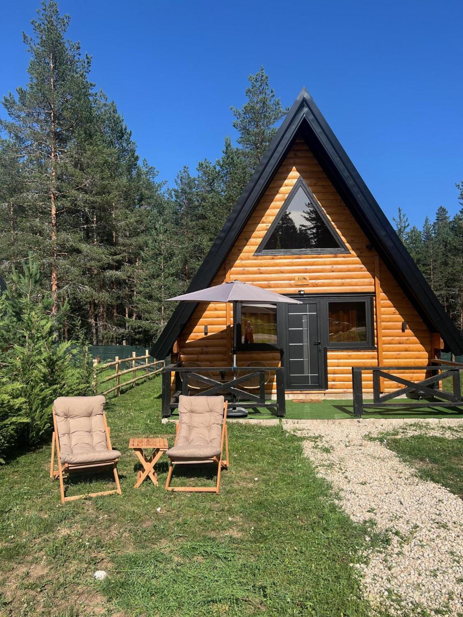 Pine Forest-Black Zabljak  Exterior photo